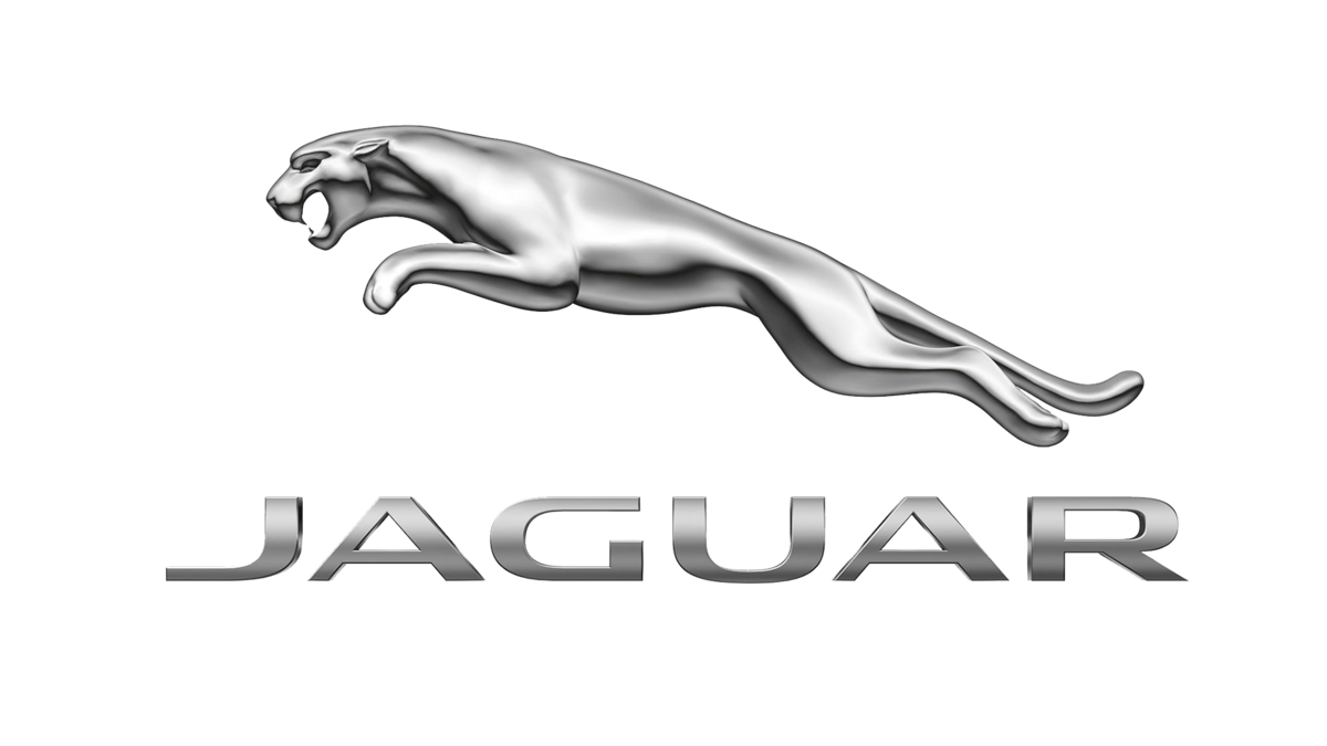 JAGUAR FRANCE BUMPER