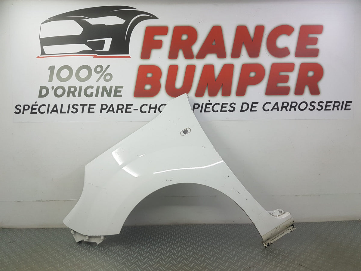 AILE AVANT GAUCHE RENAULT KANGOO 2 PHASE 1.