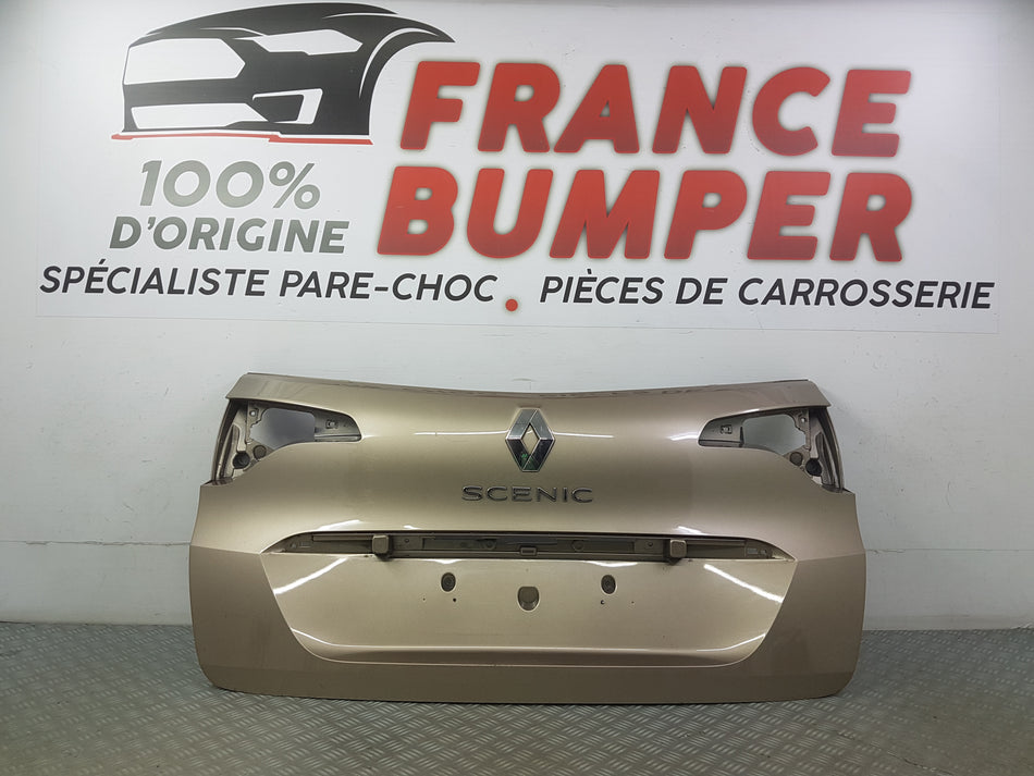 GARNITURE EXT HAYON RENAULT SCENIC 4 (MODELE COURT).