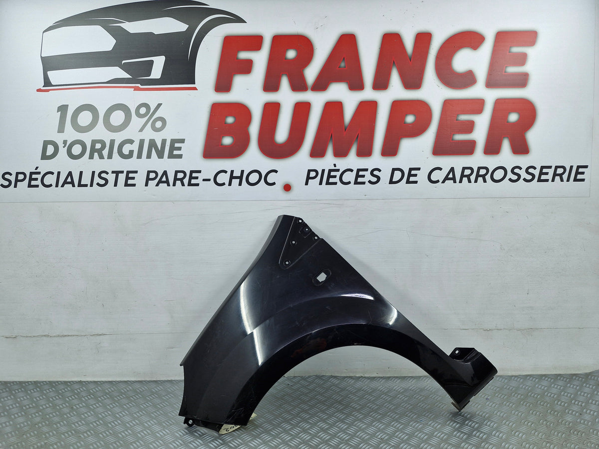Aile avant gauche Renault Twingo 2 – occasion d’origine rt2lg1
