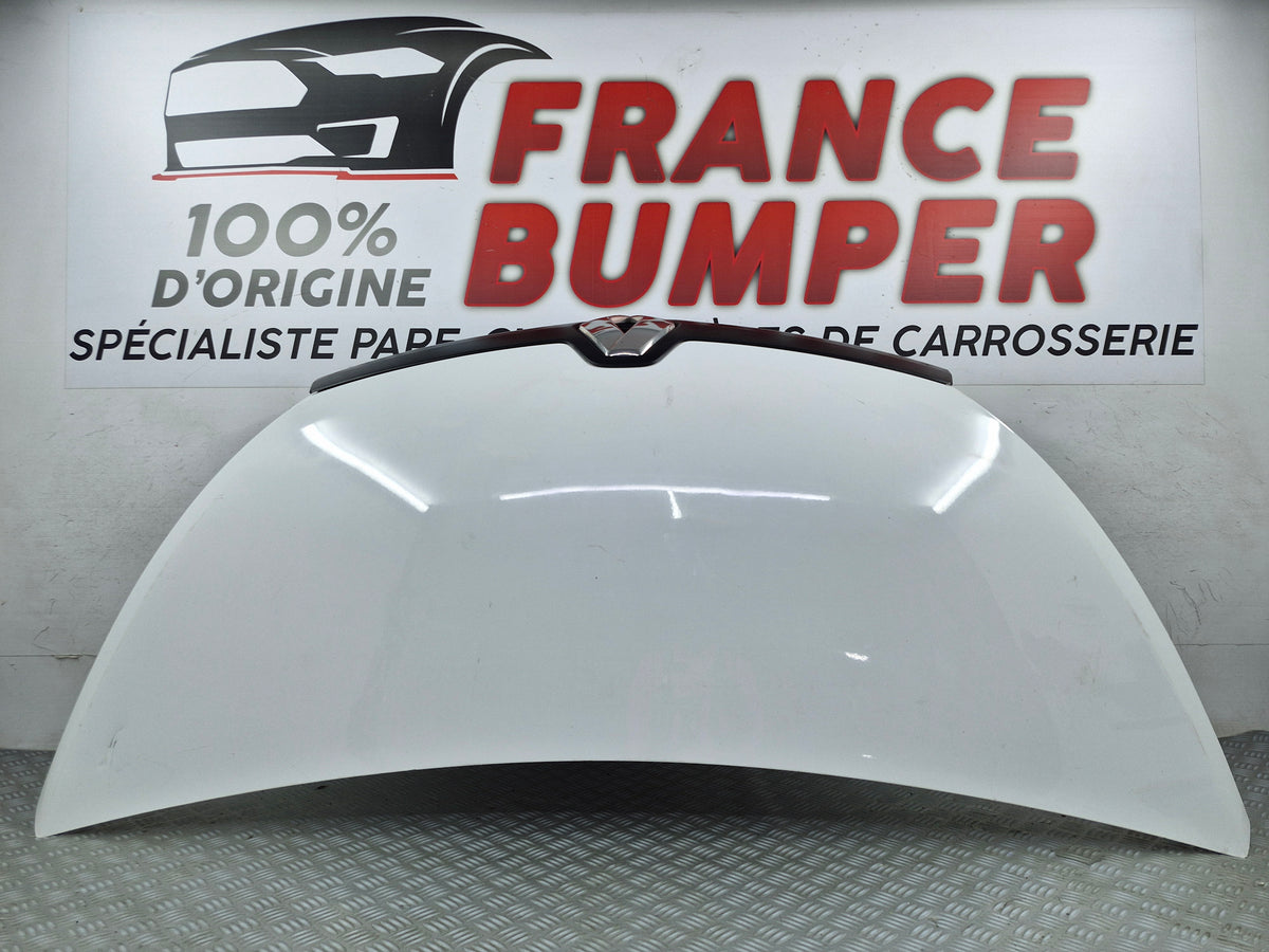 Capot Renault Trafic 3 2014 d’origine France Bumper sv771