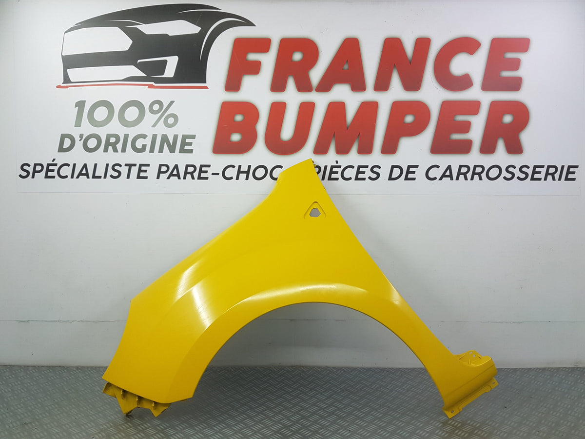 AILE AVG KANGOO II PH1 FRANCE BUMPER