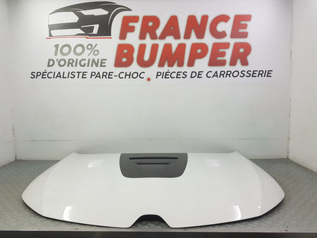 CAPOT MEGANE 4 RS TROPHY R NEUF FRANCE BUMPER