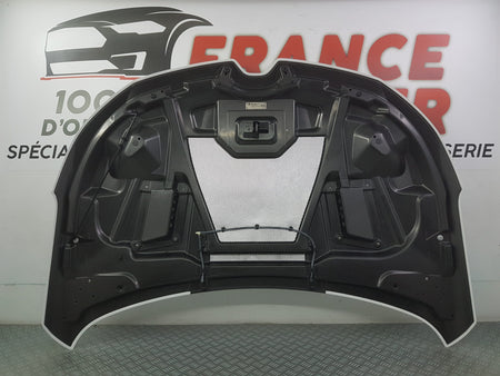 CAPOT MEGANE 4 RS TROPHY R NEUF FRANCE BUMPER