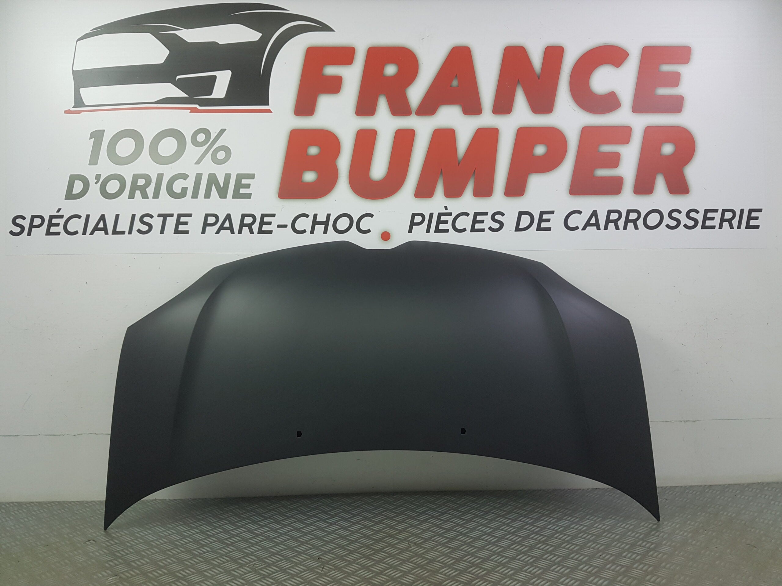 CAPOT RENAULT TWINGO 3 PH1 NEUF FRANCE BUMPER