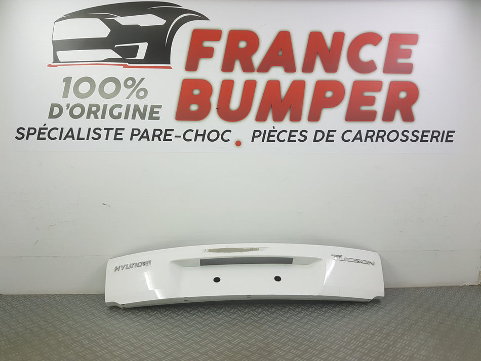 GARNITURE HAYON HYUNDAI TUCSON II PH1 FRANCE BUMPER