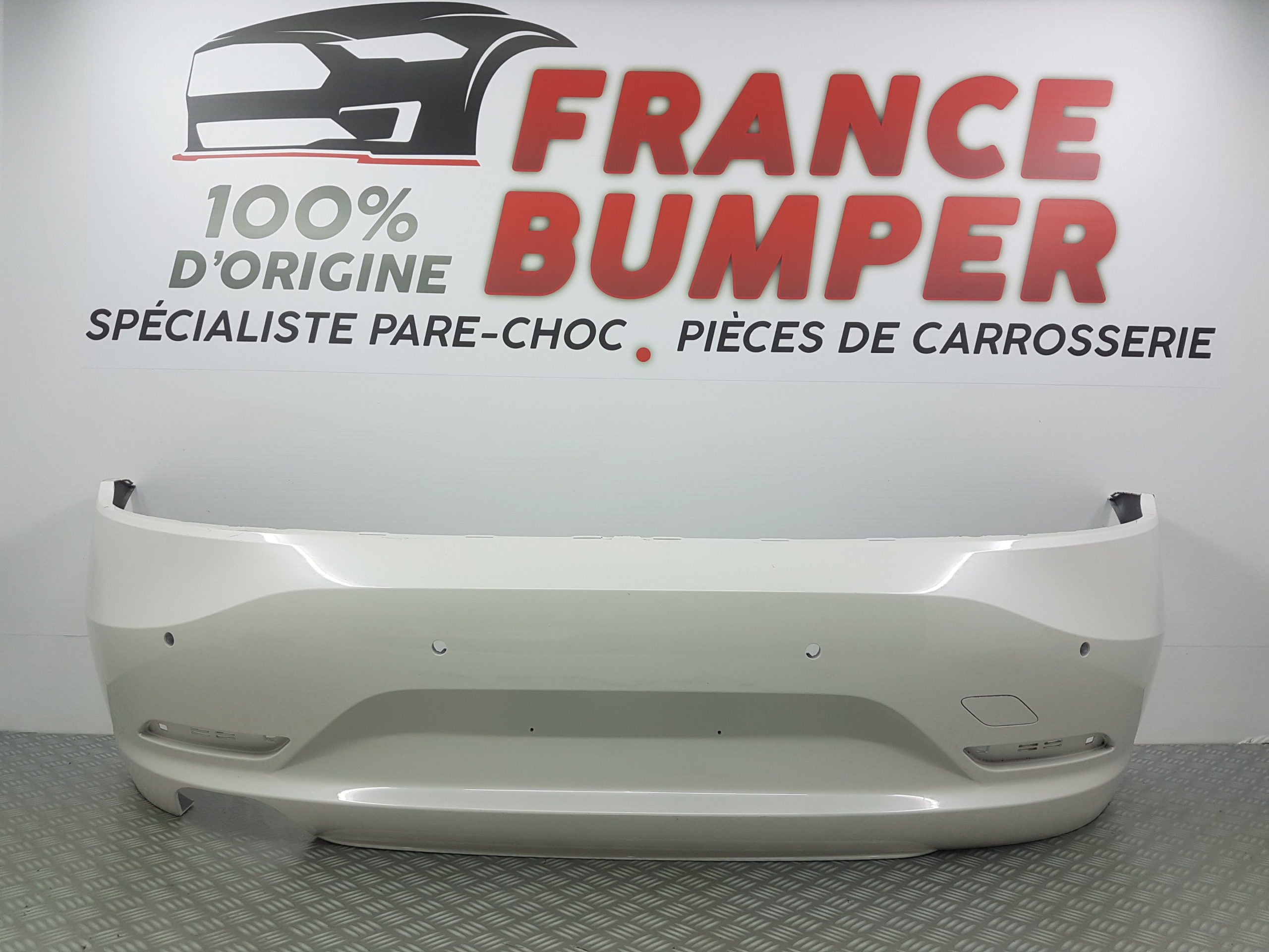 PARE CHOC ARRIERE BMW Z4 II E89 FRANCE BUMPER